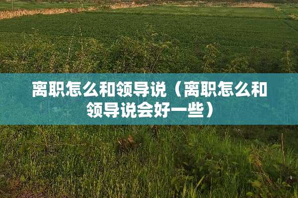 离职怎么和领导说（离职怎么和领导说会好一些）