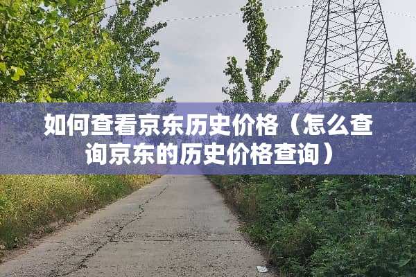 如何查看京东历史价格（怎么查询京东的历史价格查询）
