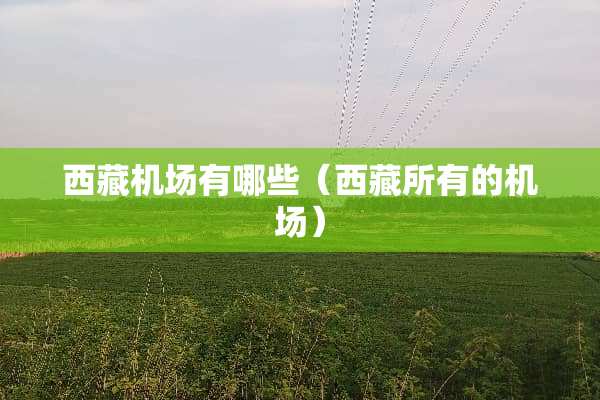 西藏机场有哪些（西藏所有的机场）