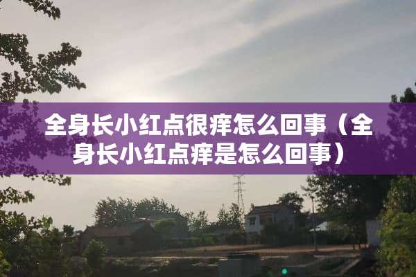 全身长小红点很痒怎么回事（全身长小红点痒是怎么回事）