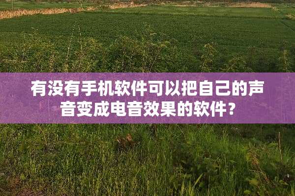 有没有手机软件可以把自己的声音变成电音效果的软件？