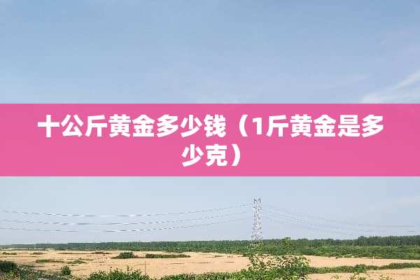 十公斤黄金多少钱（1斤黄金是多少克）