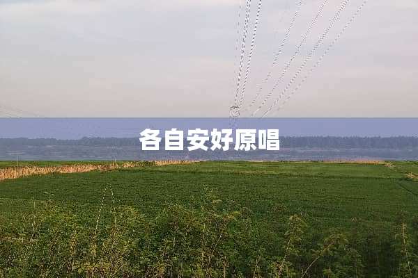 各自安好原唱