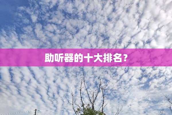 ***的十大排名？