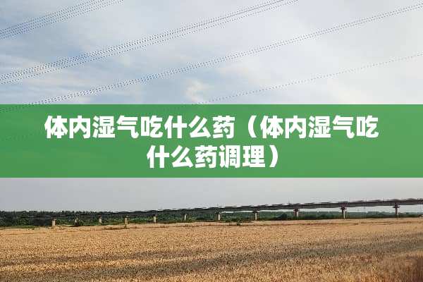 体内湿气吃什么药（体内湿气吃什么药调理）