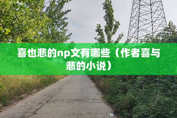 喜也悲的np文有哪些（作者喜与悲的小说）