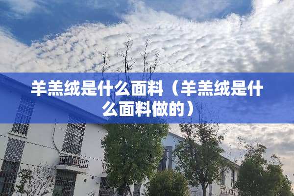羊羔绒是什么面料（羊羔绒是什么面料做的）
