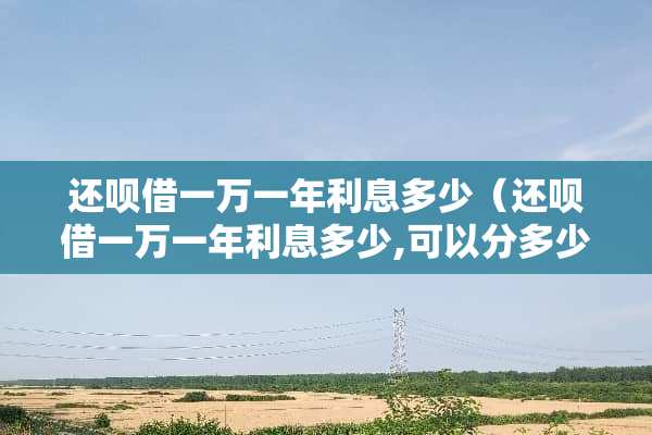 还呗借一万一年利息多少（还呗借一万一年利息多少,可以分多少期还款）