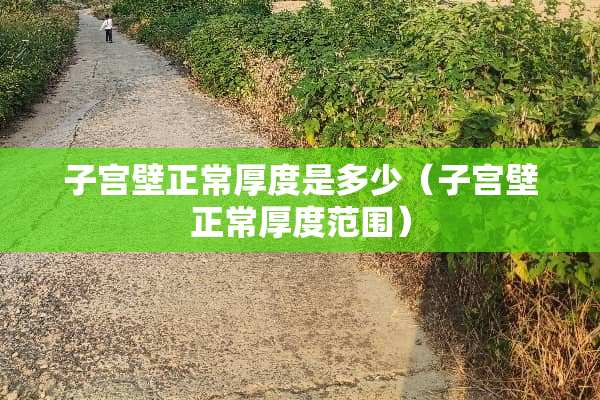 子宫壁正常厚度是多少（子宫壁正常厚度范围）
