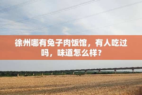 徐州哪有兔子肉饭馆，有人吃过吗，味道怎么样？