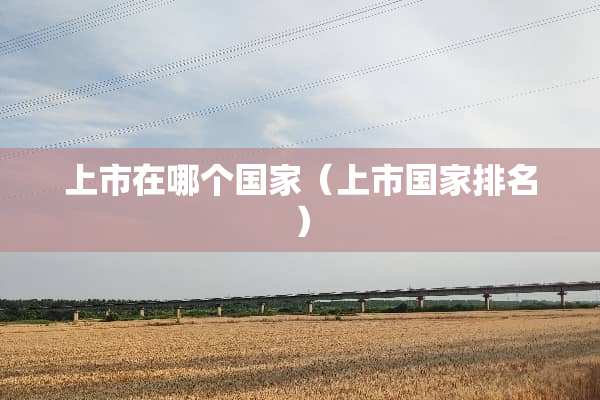 上市在哪个国家（上市国家排名）