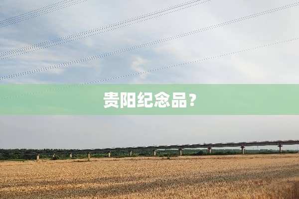 贵阳纪念品？