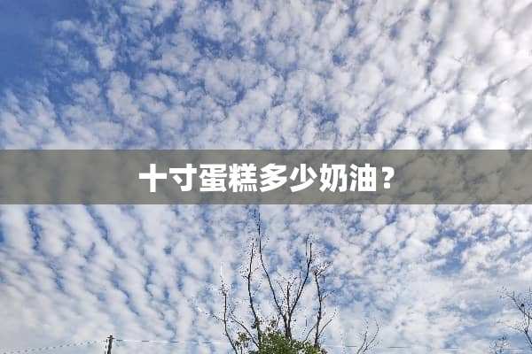 十寸蛋糕多少奶油？