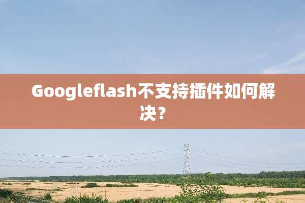 Googleflash不支持插件如何解决？