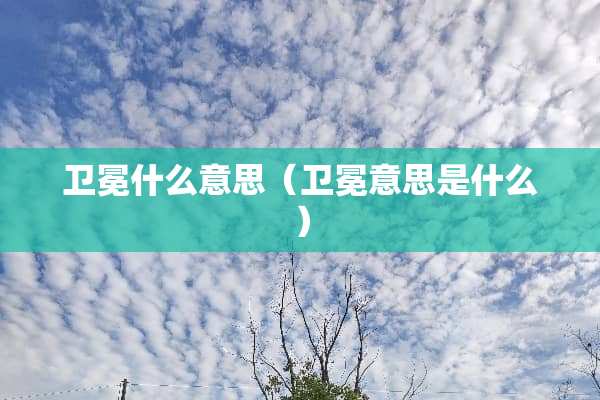 卫冕什么意思（卫冕意思是什么）