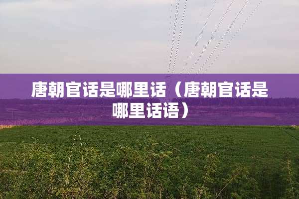 唐朝官话是哪里话（唐朝官话是哪里话语）
