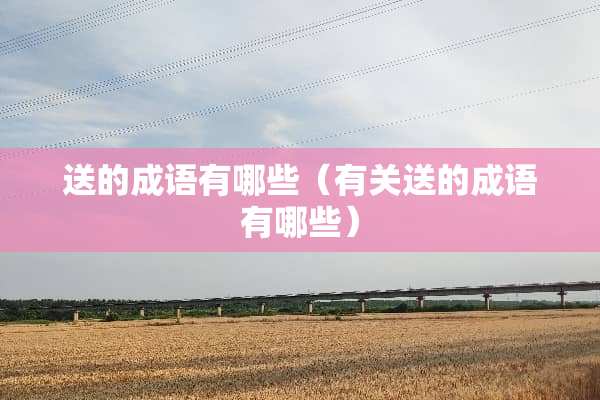 送的成语有哪些（有关送的成语有哪些）