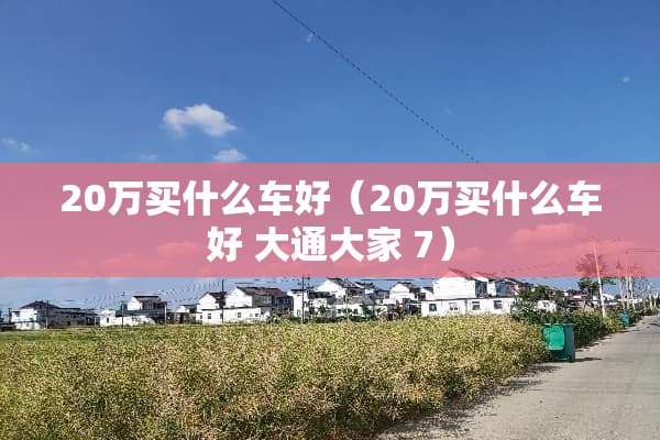 20万买什么车好（20万买什么车好 大通大家 7）