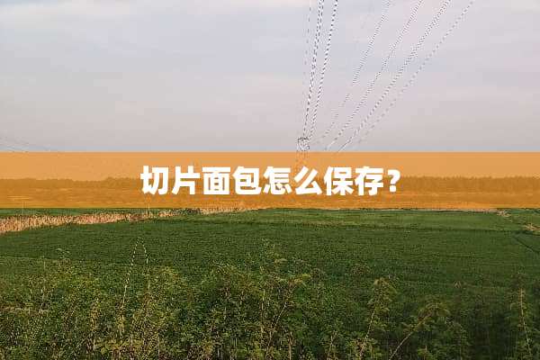 切片面包怎么保存？