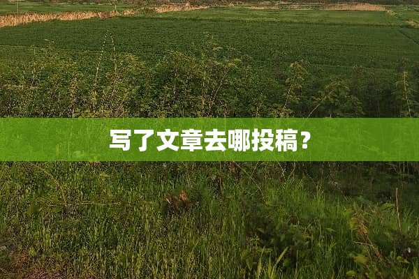 写了文章去哪投稿？