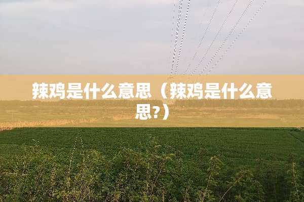 辣鸡是什么意思（辣鸡是什么意思?）