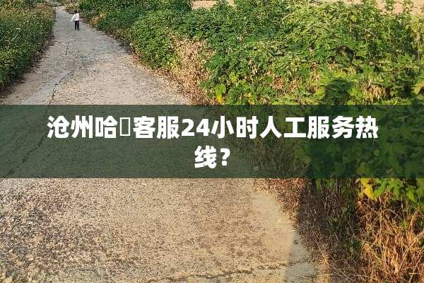 沧州哈啰客服24小时人工服务热线？