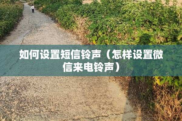 如何设置短信铃声（怎样设置微信来电铃声）