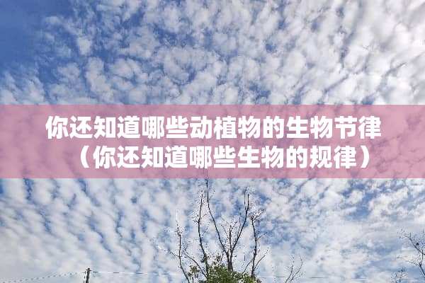 你还知道哪些动植物的生物节律（你还知道哪些生物的规律）
