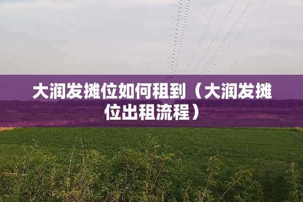 大润发摊位如何租到（大润发摊位出租流程）