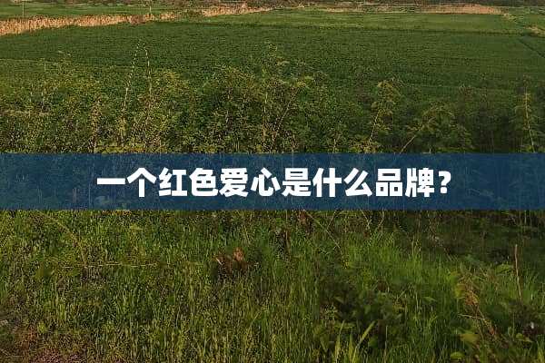 一个红色爱心是什么品牌？