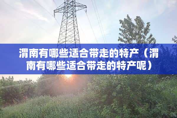 渭南有哪些适合带走的特产（渭南有哪些适合带走的特产呢）