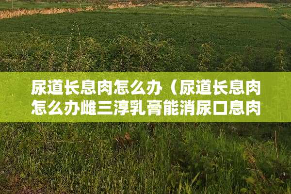 尿道长息肉怎么办（尿道长息肉怎么办雌三淳*膏能消尿口息肉吗）