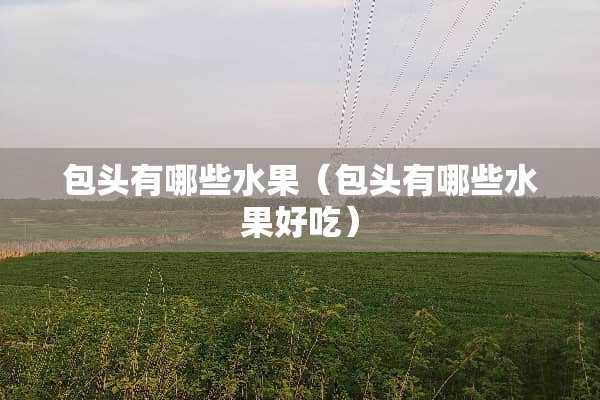 包头有哪些水果（包头有哪些水果好吃）