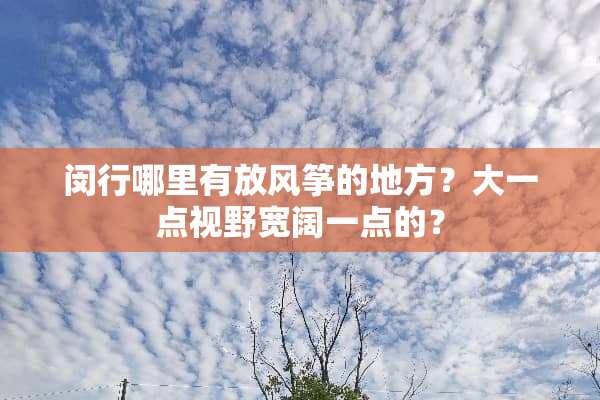 闵行哪里有放风筝的地方？大一点视野宽阔一点的？