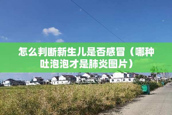 怎么判断新生儿是否感冒（哪种吐泡泡才是肺炎图片）