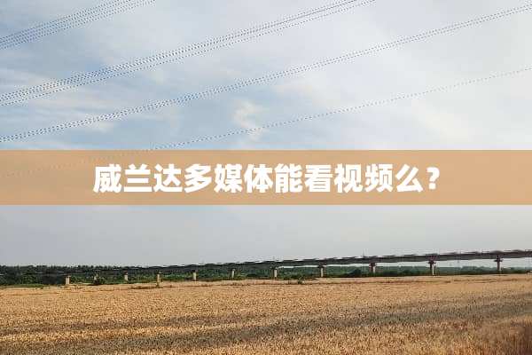 威兰达多媒体能看视频么？