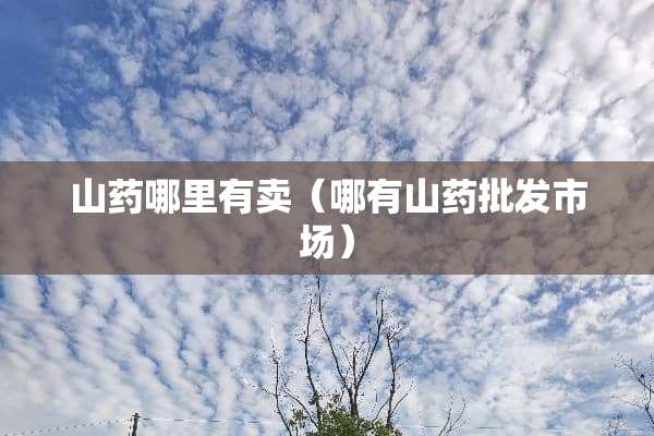 山药哪里有卖（哪有山药批发市场）