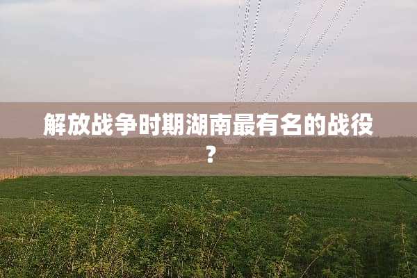 解放战争时期湖南最有名的战役？