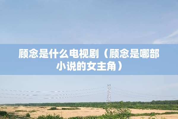 顾念是什么电视剧（顾念是哪部小说的女主角）