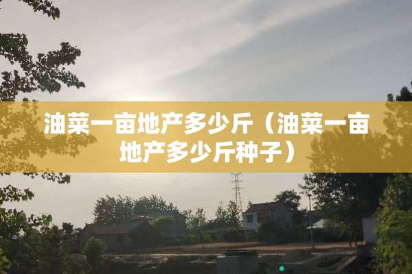 油菜一亩地产多少斤（油菜一亩地产多少斤种子）