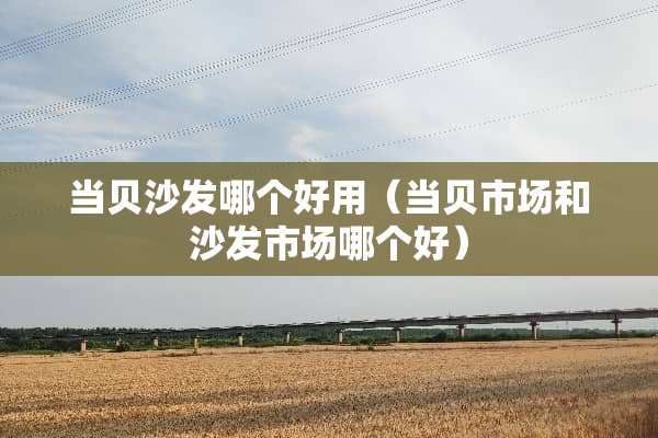 当贝沙发哪个好用（当贝市场和沙发市场哪个好）
