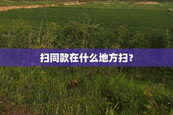 扫同款在什么地方扫？