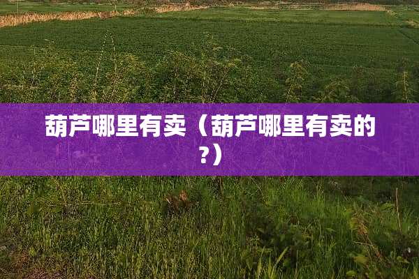 葫芦哪里有卖（葫芦哪里有卖的?）