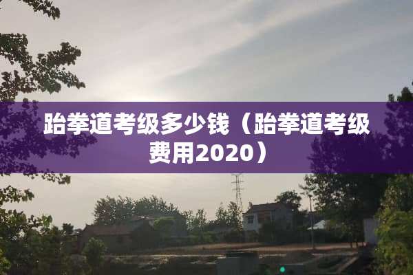 跆拳道考级多少钱（跆拳道考级费用2020）