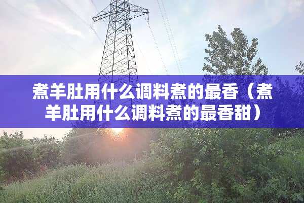 煮羊肚用什么调料煮的最香（煮羊肚用什么调料煮的最香甜）