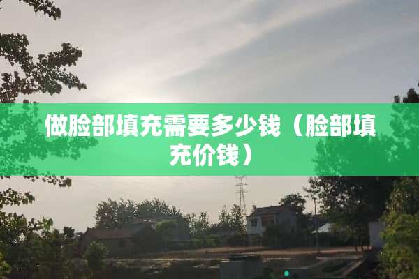 做脸部填充需要多少钱（脸部填充价钱）
