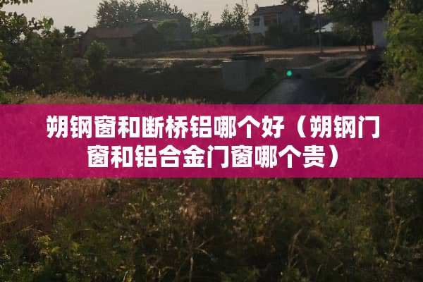 朔钢窗和断桥铝哪个好（朔钢门窗和铝合金门窗哪个贵）