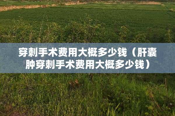 穿刺手术费用大概多少钱（肝囊肿穿刺手术费用大概多少钱）
