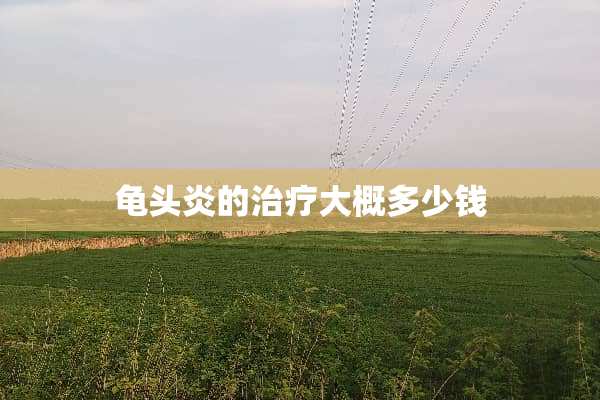 **炎的治疗大概多少钱