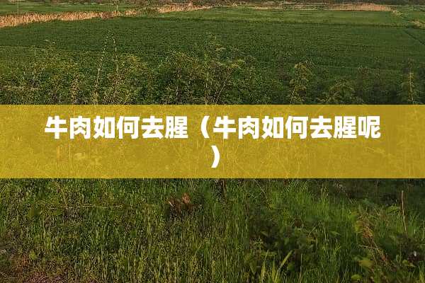 牛肉如何去腥（牛肉如何去腥呢）